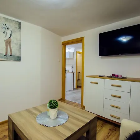 Apartament Tajemniczy Ogrod Scisle Centrum Zakopane Eksteriør bilde